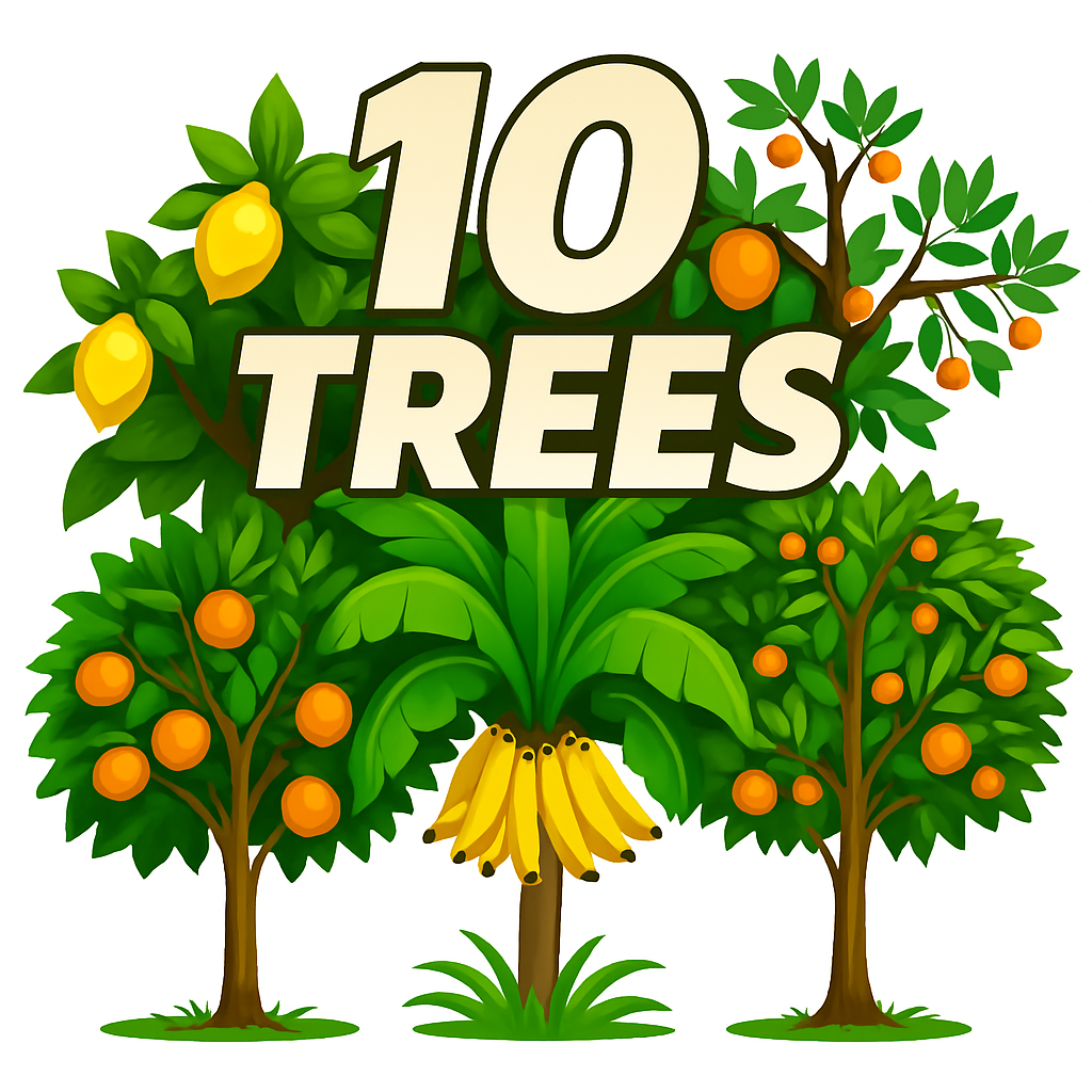 Big Family Pack (10 Trees)